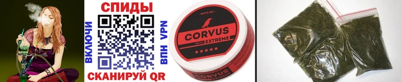 Купить  Балашиха  Бутират Butirat 