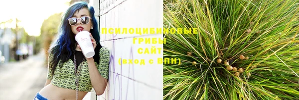 бошки Саяногорск