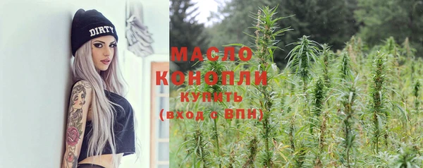 МДПВ Снежногорск